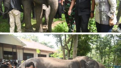 Ketua DPRD Lampung: Atensi Presiden Jadikan Way Kambas Percontohan Nasional Harus Dikawal Bersama