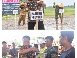 Ketua DPRD Provinsi Lampung, A. Giri Akbar, S.E., M.B.A., menghadiri kegiatan Tanam Padi Bersama Forum Koordinasi Pimpinan Daerah (Forkopimda)
