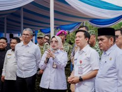 Hilirisasi Ayam Terintegrasi Dimulai, Lampung Targetkan Nilai Tambah Peternakan