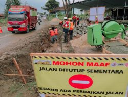 *Penjualan Kendaraan Niaga Menunjukkan Perkembangan Menarik, Trend Positif Penguatan Distribusi Hasil Pertanian Lampung*